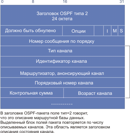 ospf5.gif